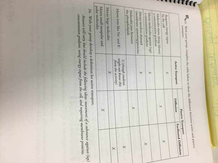 Membrane structure pogil answer key