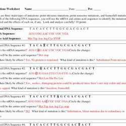 Dna technology worksheet answer key