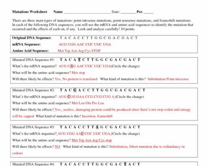 Dna technology worksheet answer key