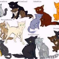 Warrior cats quiz wild into