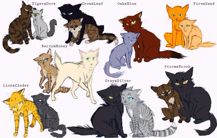 Warrior cats quiz wild into