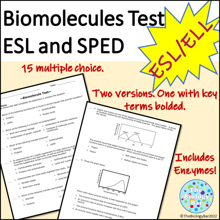 Biomolecules and enzymes practice worksheet