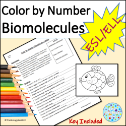 Biomolecules and enzymes practice worksheet