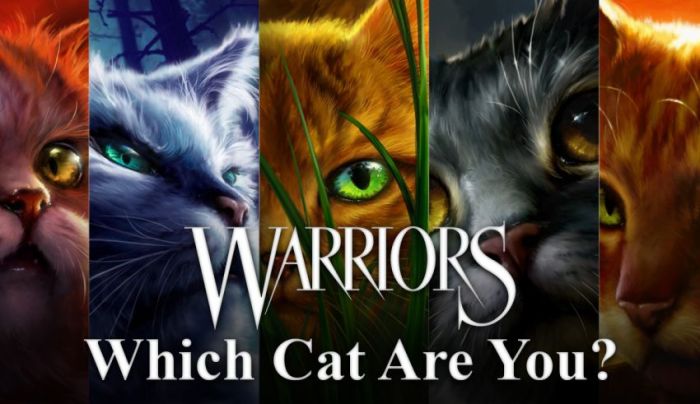 Warrior cat quizzes who's your mate