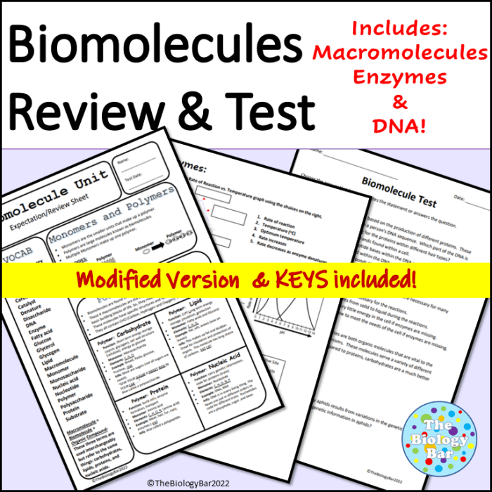 Biomolecules and enzymes practice worksheet