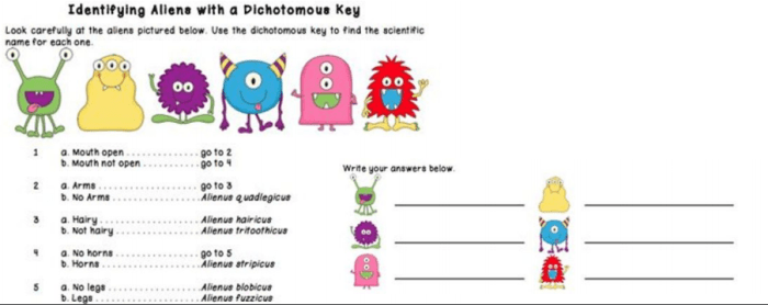 Monster classification with a dichotomous key