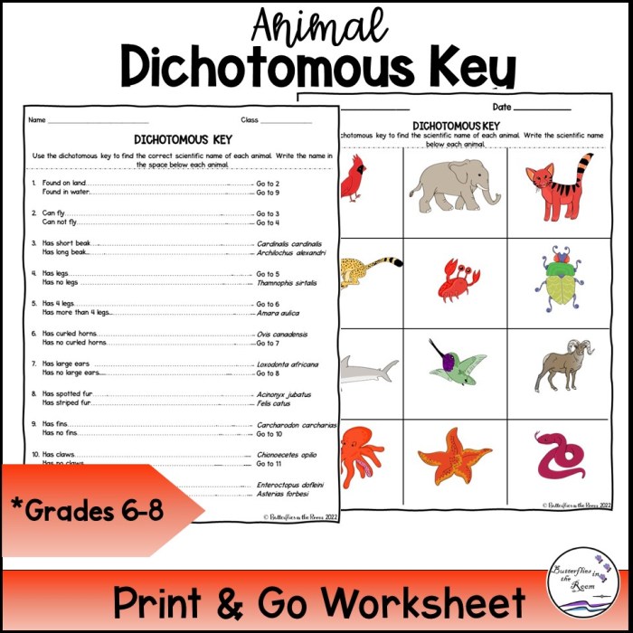 Monster classification with a dichotomous key