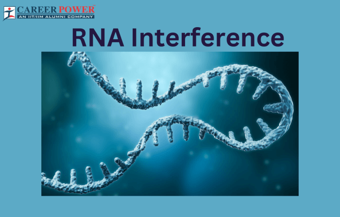 Rna interference bmj fig silencing mechanism 1245 transcriptional gene post