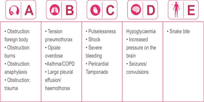 What are the components of the breathing assessment pals