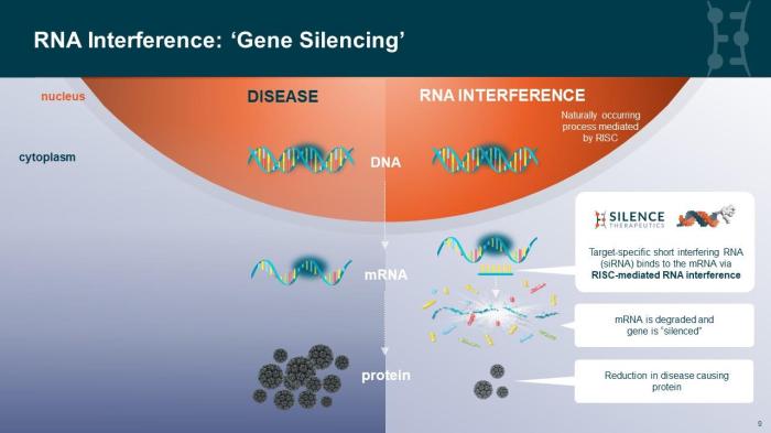 Identify the true statements about rna interference.